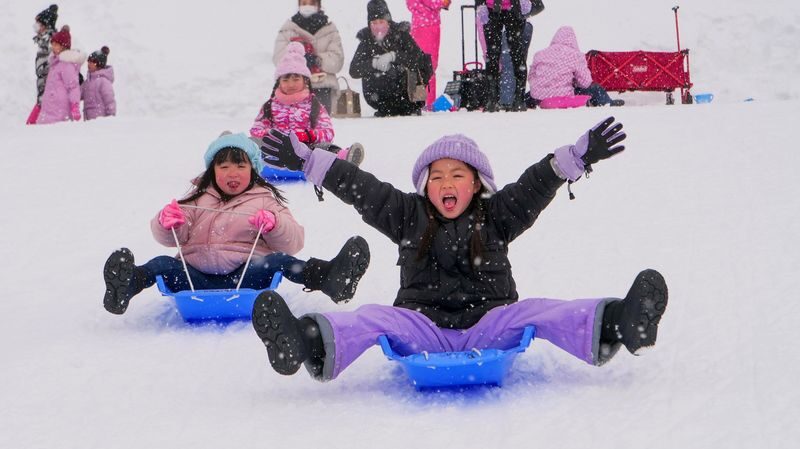 Nagoya Bokuka no Sato & Gujo Hachiman Day Trip (including hot spring experience) - A snow day with a town stop