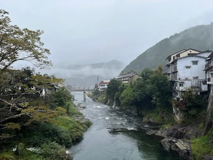 Nagoya Bokuka no Sato & Gujo Hachiman Day Trip (including hot spring experience) - Guides and the ride from Nagoya
