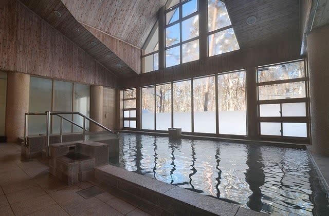 Nagoya Bokuka no Sato & Gujo Hachiman Day Trip (including hot spring experience) - Who should book this trip?