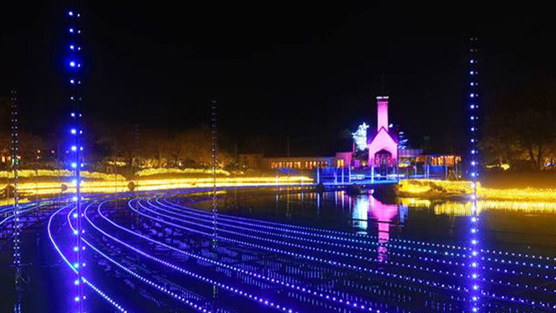 Nagoya Day Trip: Nabana no Sato Illumination & Mitsui Outlet Jazz Dream Nagashima (Round trip from Nagoya) - Nabana no Sato after sunset