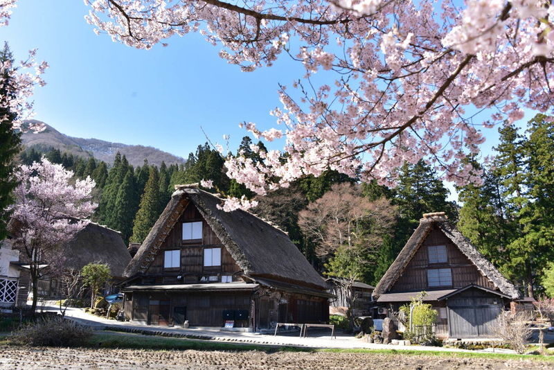 Nagoya Departure | Small Group Tour: Hida Takayama Old Town + World Heritage Shirakawa-go Gassho Village Day Trip - Shirakawa-go’s steep-roofed farmhouses