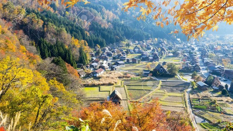 Nagoya Departure | Small Group Tour: Hida Takayama Old Town + World Heritage Shirakawa-go Gassho Village Day Trip - What the $90.65 fare buys