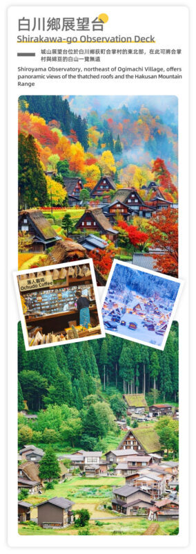 Nagoya Fairy Tale World Shirakawa-go: Hida Takayama & Old Town Stroll & Shirakawa-go Gassho Village Day Trip (From Nagoya) - Who should choose this day trip