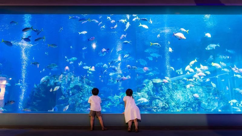 Nagoya Full-Day Ise Grand Shrine & Toba Aquarium Tour with Meoto Iwa - At a glance