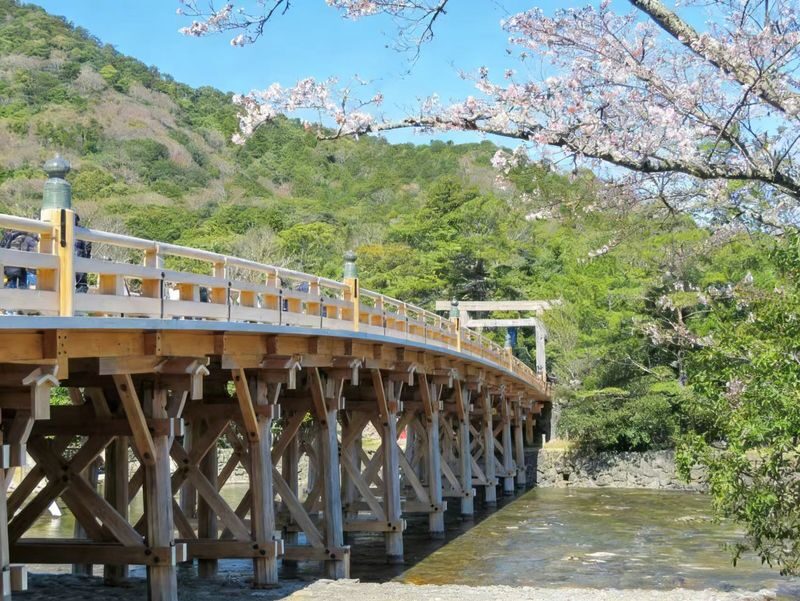 Nagoya Full-Day Ise Grand Shrine & Toba Aquarium Tour with Meoto Iwa - Who will enjoy this day most