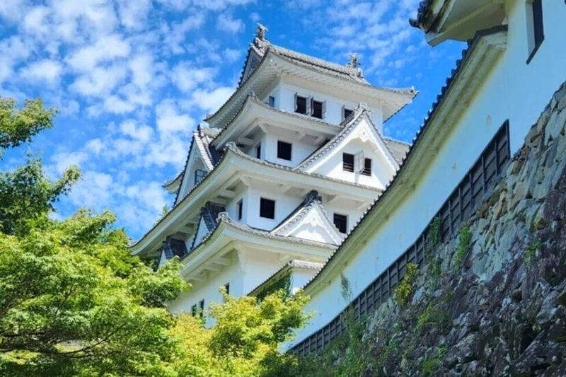 Nagoya Gujo Hachiman & Shirakawa-go Gassho Village & Hida Takayama Day Trip (Round Trip from Nagoya, Optional Small Group) - Three corners of Gifu, one full day from Nagoya