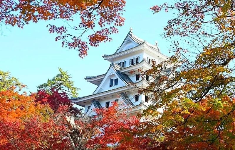 Nagoya Gujo Hachiman & Shirakawa-go Gassho Village & Hida Takayama Day Trip (Round Trip from Nagoya, Optional Small Group) - The practical value of a shared ride