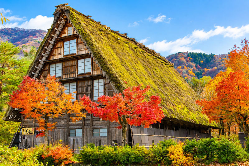 Nagoya Hida Takayama Old Town & Gassho-style Village Shirakawa-go (Including lunch "Kobe Beef Shabu-Shabu") - Is $71.25 good value?
