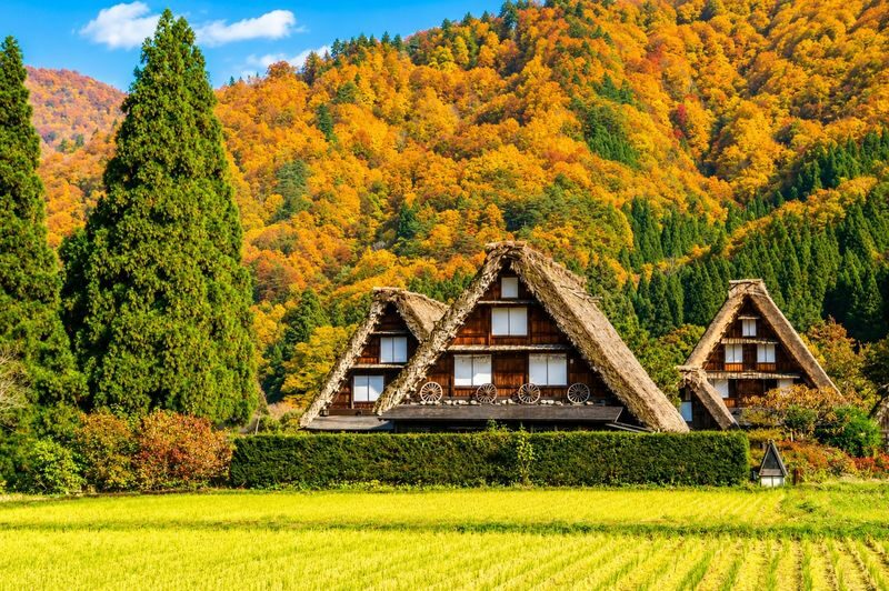 Nagoya Hida Takayama Old Town & Gassho-style Village Shirakawa-go (Including lunch "Kobe Beef Shabu-Shabu") - Who should book this trip?