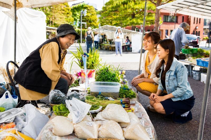 Nagoya Hida Takayama Old Town & Gassho-style Village Shirakawa-go (Including lunch "Kobe Beef Shabu-Shabu") - Should you book?