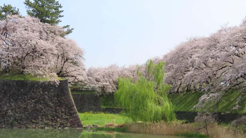 Nagoya Industry and History Tour - The Value of This Tour