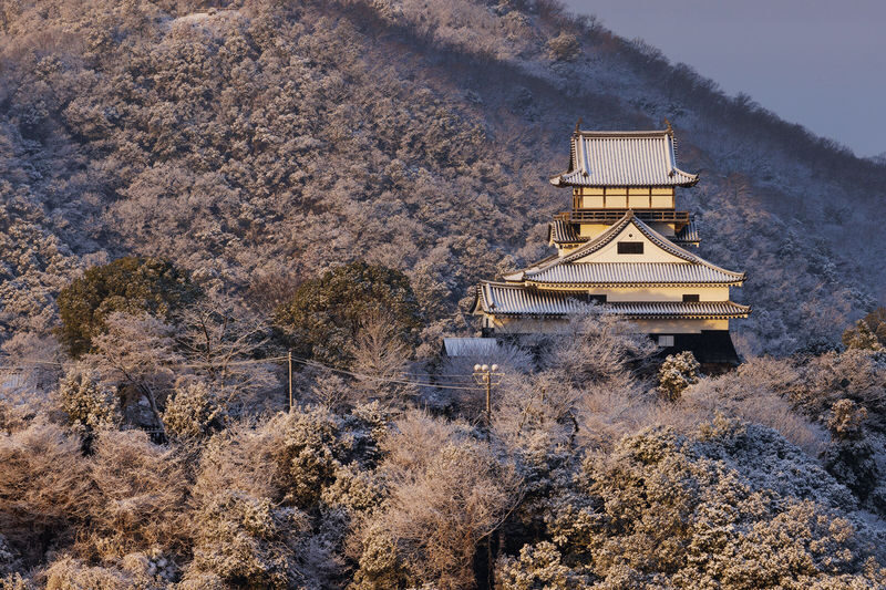 Nagoya Inuyama Castle, Ena Gorge, Magome-juku One-Day Tour - At a glance