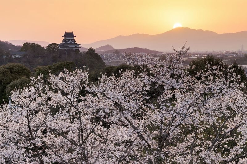 Nagoya Inuyama Castle, Ena Gorge, Magome-juku One-Day Tour - Three stops, one day away from Nagoya
