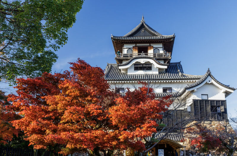 Nagoya Inuyama Castle, Ena Gorge, Magome-juku One-Day Tour - Magome-juku as the final named destination