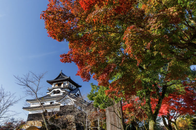 Nagoya Inuyama Castle, Ena Gorge, Magome-juku One-Day Tour - What the available feedback can and cannot tell you