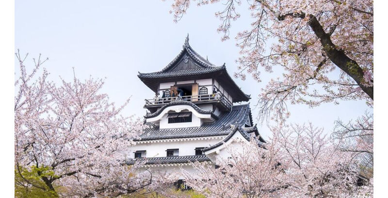 Nagoya Inuyama Castle & Magome-juku & Ena Gorge Day Tour - Who should book this Nagoya day trip?