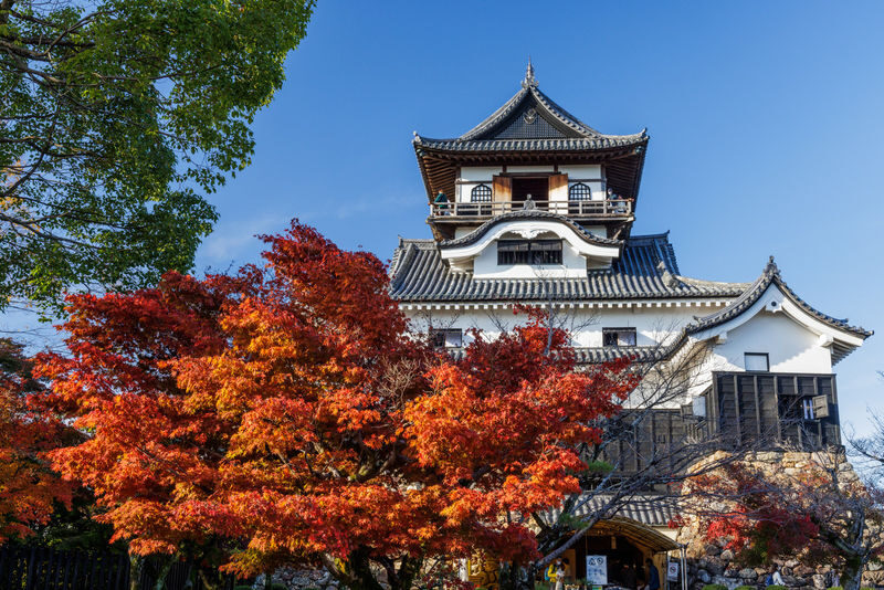 Nagoya Inuyama Castle, Magome-juku Full-Day Tour with Ena Gorge - A castle, an old road and a gorge in one day