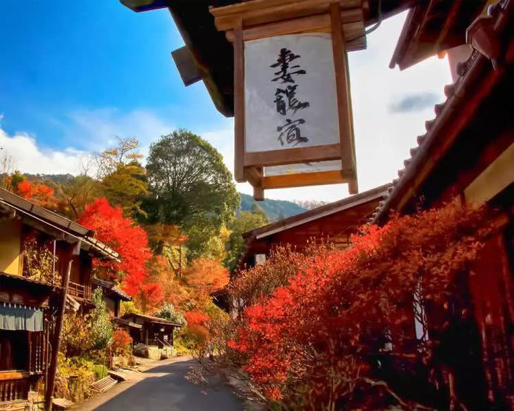 Nagoya Inuyama Castle, Magome-juku Full-Day Tour with Ena Gorge - Guides who help you make the most of free time