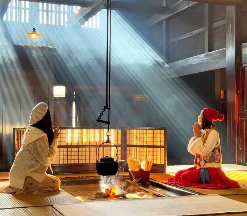 Nagoya Inuyama Castle & Tsumago-juku Full-Day Cultural Tour - Who should choose this tour?