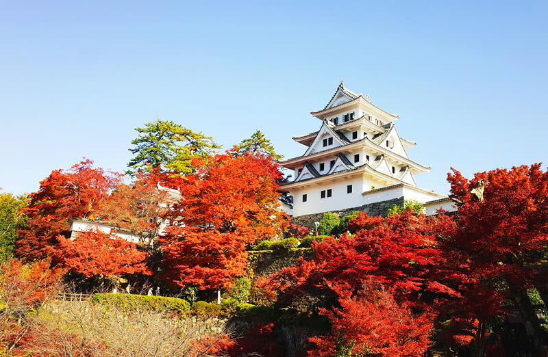 Nagoya, Japan | Hida Takayama/Shirakawa-go Customized Private Day Tour - The real price: convenience, with a few caveats