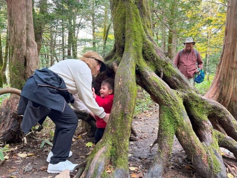 Nagoya: Japanese Alps "Kamikochi" One-Day Round-trip Tour - Key Points