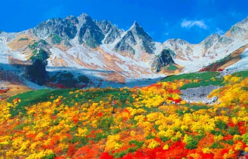 Nagoya Kamikochi and Taisho Pond Nature Full-Day Hiking Tour - The draw of Kamikochi and Taisho Pond