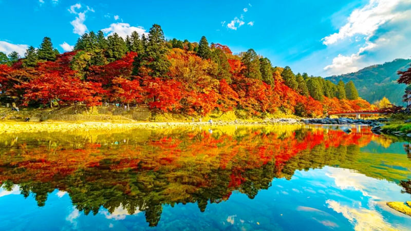 Nagoya Kamikochi and Taisho Pond Nature Full-Day Hiking Tour - What weather and seasonal timing change