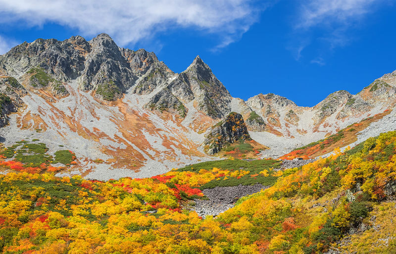 Nagoya Kamikochi and Taisho Pond Nature Full-Day Hiking Tour - Who should choose this Kamikochi day trip?