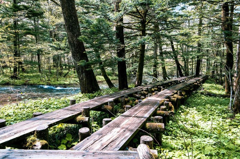 Nagoya Kamikochi Full-Day Hiking Tour with Myojin Pond - Who should choose this Kamikochi trip?