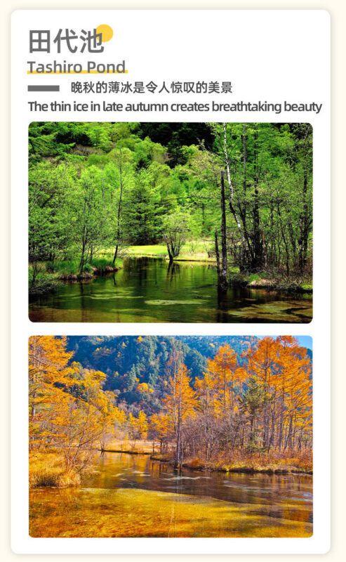 Nagoya Kamikochi Hiking Tour: One-Day Nature Forest Hiking Tour of Kamikochi & Taisho Pond & Tashiro Pond & Kappa Bridge & Myojin Pond & Hotaka Mountain Range & Hotaka Shrine Okumiya (Departure from Nagoya) - Weather, crowds, and what to pack