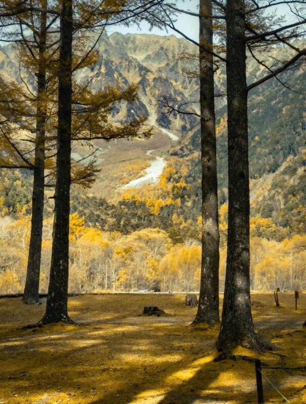 Nagoya Kamikochi & Kappa Bridge Full-Day Tour with Hiking - Weather, clothing and the limits of a day trip