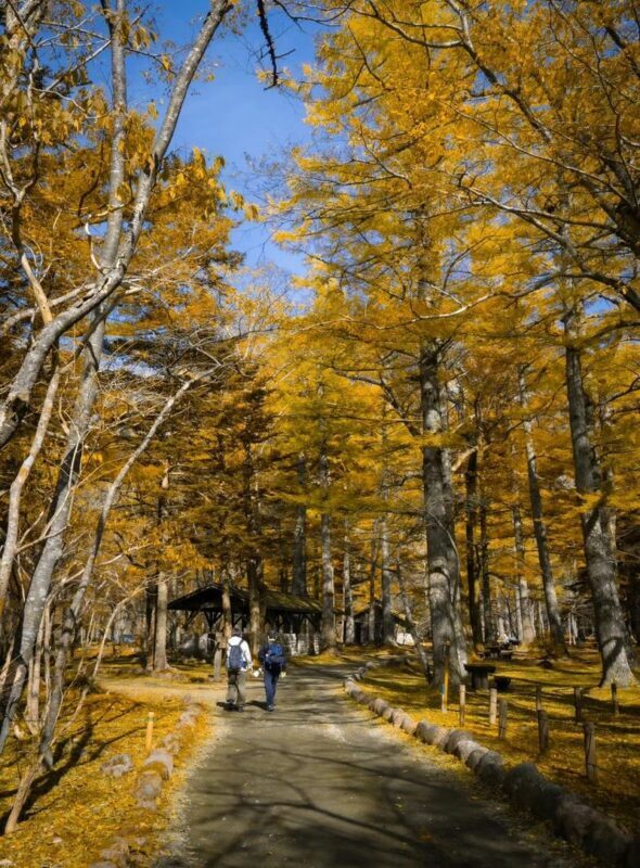 Nagoya Kamikochi & Kappa Bridge Full-Day Tour with Hiking - Is $44.20 good value?