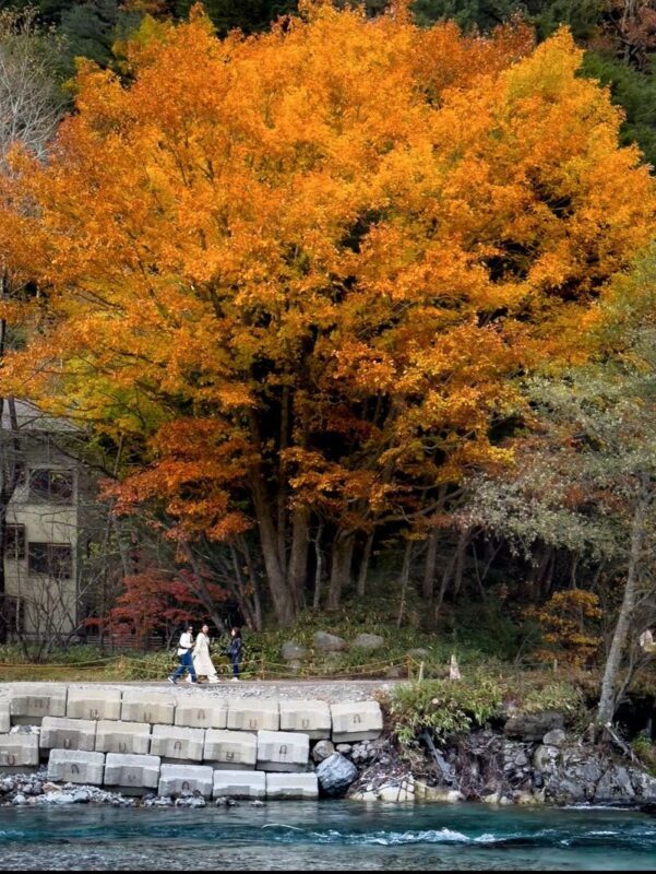 Nagoya Kamikochi & Kappa Bridge Full-Day Tour with Hiking - Who should take this tour?