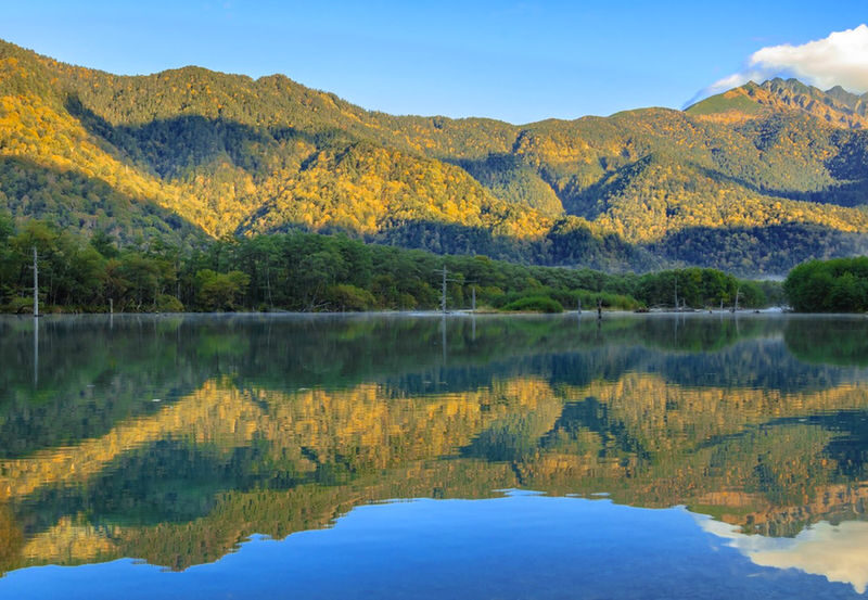 Nagoya Kamikochi & Kappabashi Full-Day Alpine Scenery Tour - Guide support can vary