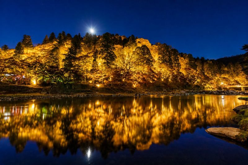 Nagoya Korankei & Shikizakura Autumn Maple Leaf Half-Day Tour - Timing, crowds, and the weather