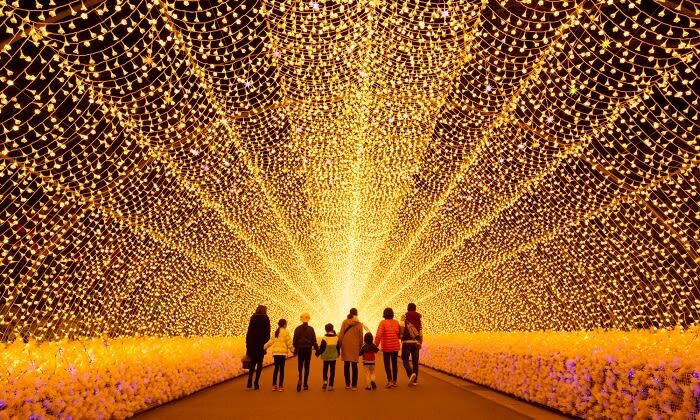 Nagoya Nabana no Sato Romantic Winter Illumination Tour - Key points to know