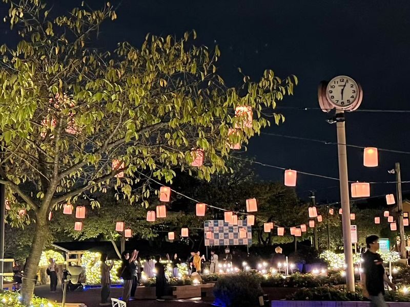 Nagoya Nabana no Sato Romantic Winter Illumination Tour - Nabana no Sato changes character after sunset