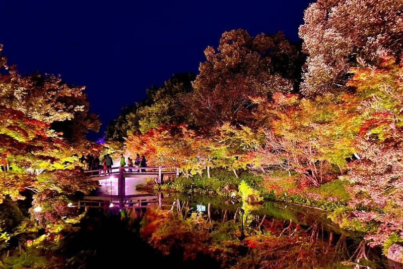 Nagoya Nabana no Sato Romantic Winter Illumination Tour - Is $71.05 a fair price?