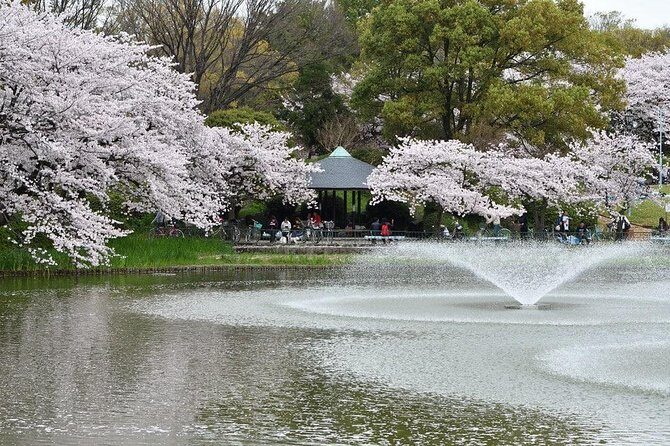 Nagoya Private Customizable Half Day Tour - Key Points