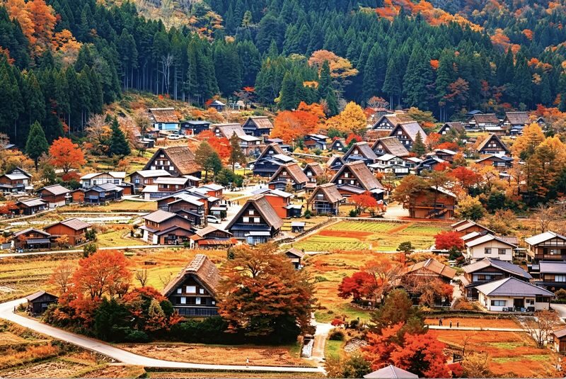 Nagoya Shirakawa-go and Takayama Full-Day Guided Tour - Two hours among Takayama’s old streets