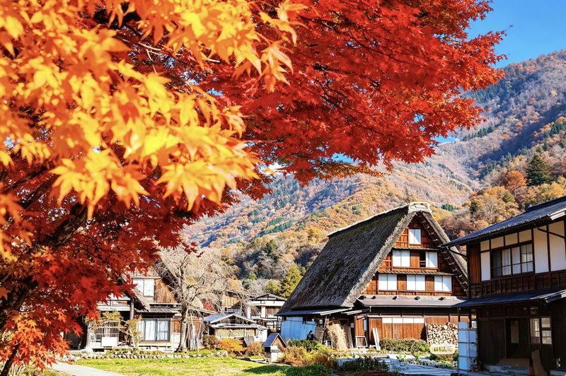 Nagoya Shirakawa-go and Takayama Full-Day Guided Tour - Shirakawa-go’s gassho-style farmhouses