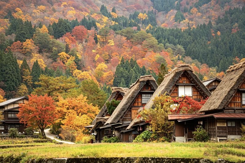 Nagoya Shirakawa-go and Takayama Full-Day Guided Tour - The real value at about $49