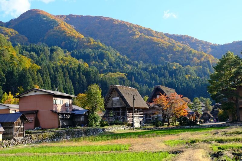 Nagoya Shirakawa-go and Takayama Full-Day Guided Tour - Should you book this Nagoya day trip?