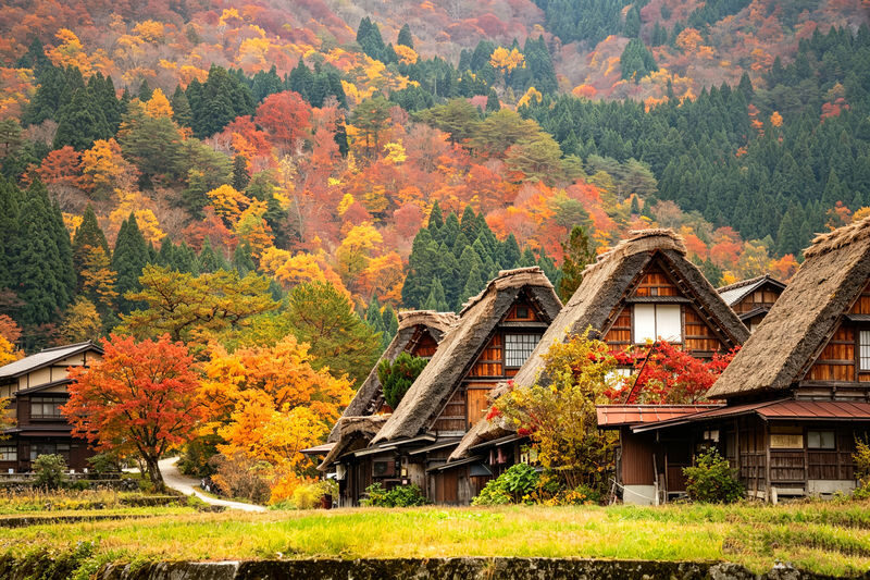 Nagoya, Shirakawa-go, and Takayama One-Day Cultural Tour - Shirakawa-go’s steep-roofed farmhouses at 15:00