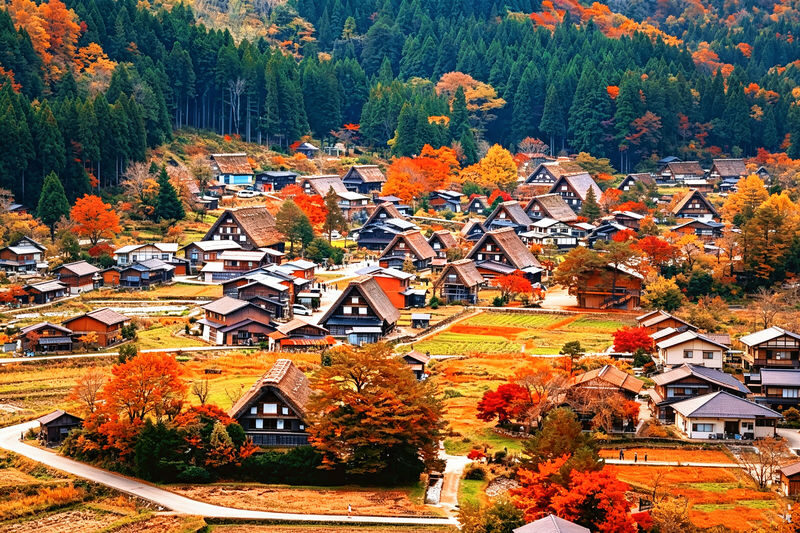 Nagoya, Shirakawa-go, and Takayama One-Day Cultural Tour - What the price buys, and what it does not