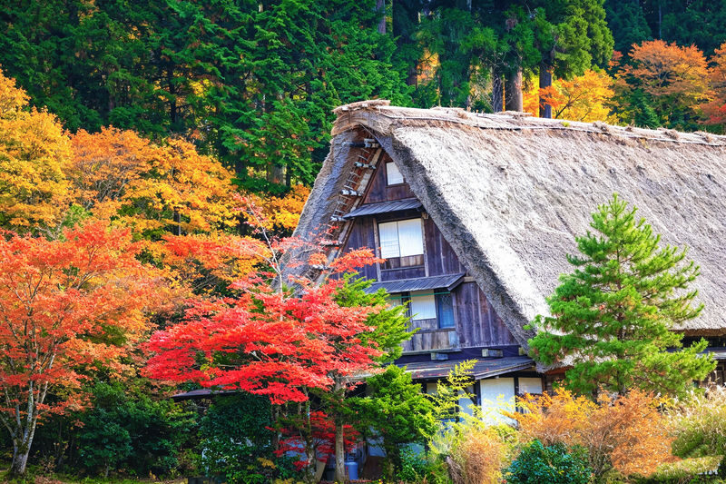 Nagoya, Shirakawa-go, and Takayama One-Day Cultural Tour - Who should book this day trip