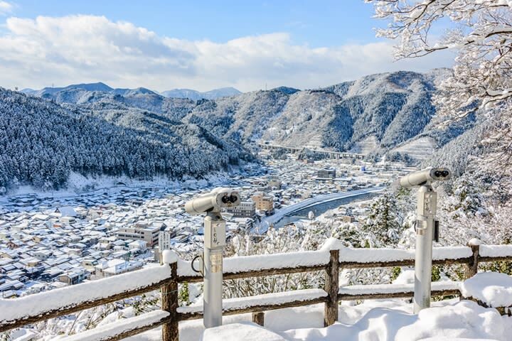Nagoya, Shirakawa-go, Gujo Hachiman, and Takayama World Heritage Day Tour - Four Central Japan stops in one day