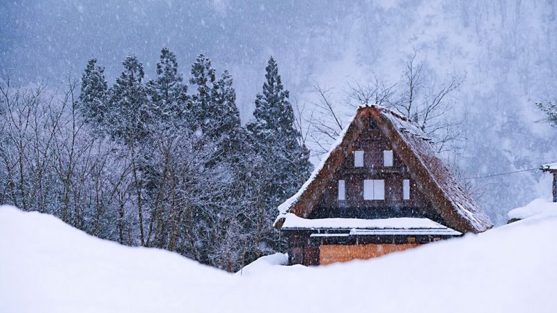 Nagoya, Shirakawa-go, Gujo Hachiman, and Takayama World Heritage Day Tour - Takayama and the value of a guided day