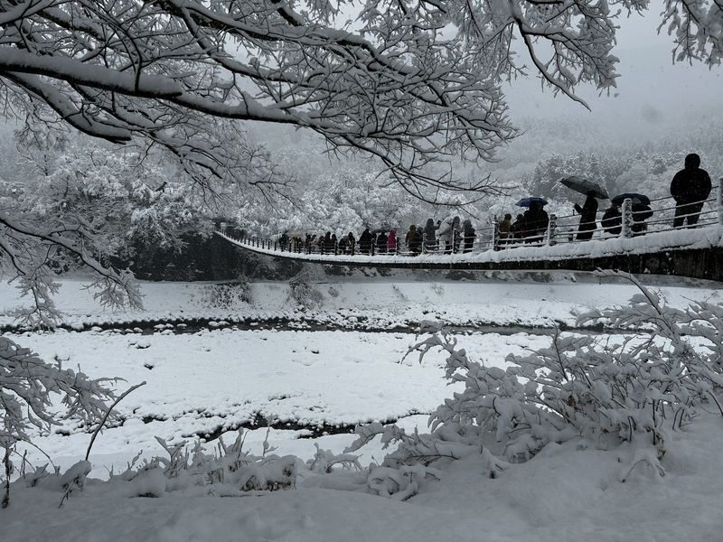 Nagoya, Shirakawa-go, Gujo Hachiman, and Takayama World Heritage Day Tour - Who will enjoy this tour most