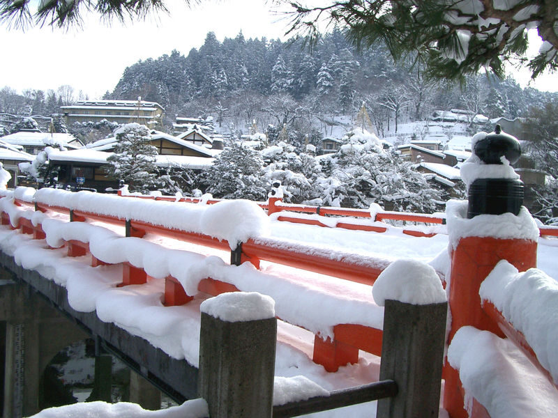 Nagoya, Shirakawa-go, Gujo Hachiman, and Takayama World Heritage Day Tour - Should you book this tour?